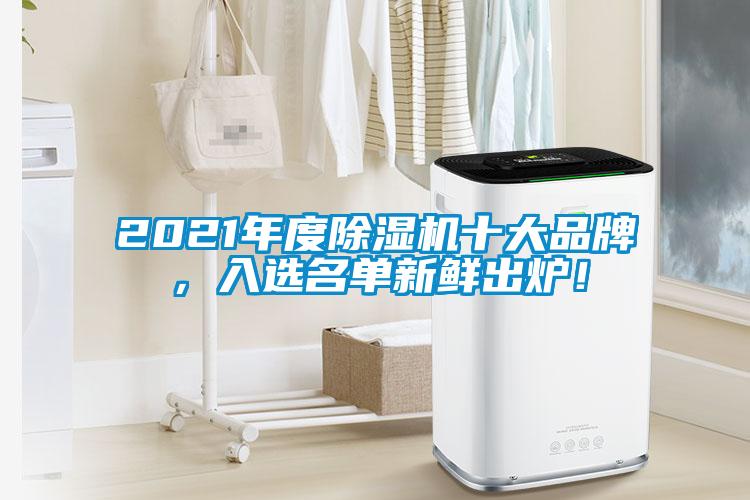 2021年度除濕機(jī)十大品牌，入選名單新鮮出爐！