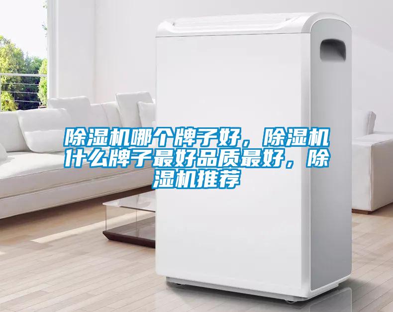 除濕機哪個牌子好，除濕機什么牌子最好品質最好，除濕機推薦