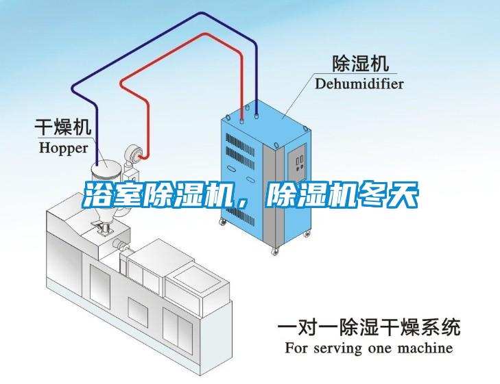 浴室除濕機(jī)，除濕機(jī)冬天