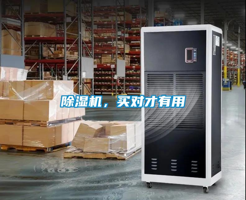 除濕機，買對才有用