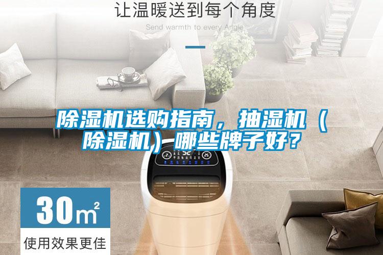 除濕機選購指南，抽濕機（除濕機）哪些牌子好？