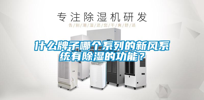什么牌子哪個系列的新風系統有除濕的功能？