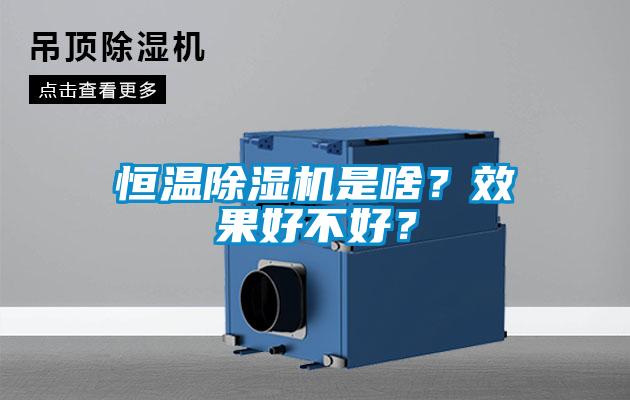 恒溫除濕機是啥？效果好不好？
