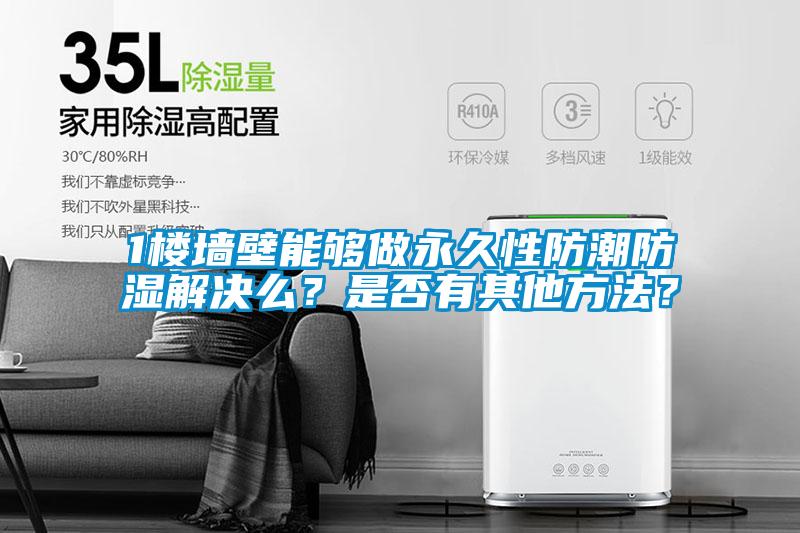 1樓墻壁能夠做永久性防潮防濕解決么？是否有其他方法？