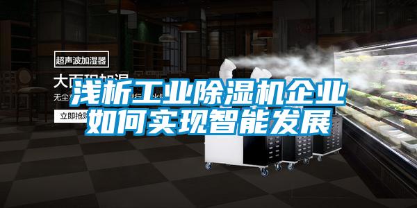 淺析工業(yè)除濕機(jī)企業(yè)如何實現(xiàn)智能發(fā)展