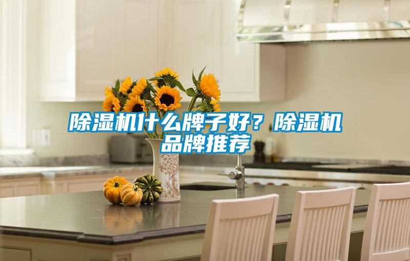 除濕機(jī)什么牌子好？除濕機(jī)品牌推薦