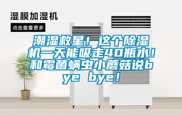 潮濕救星！這個(gè)除濕機(jī)一天能吸走40瓶水！和霉菌螨蟲(chóng)小蘑菇說(shuō)bye bye！
