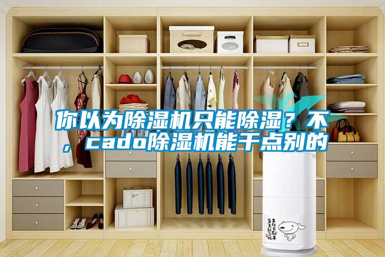 你以為除濕機只能除濕？不，cado除濕機能干點別的