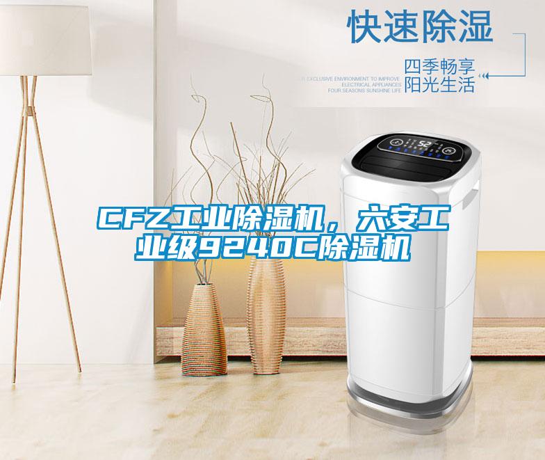 CFZ工業(yè)除濕機(jī)，六安工業(yè)級(jí)9240C除濕機(jī)