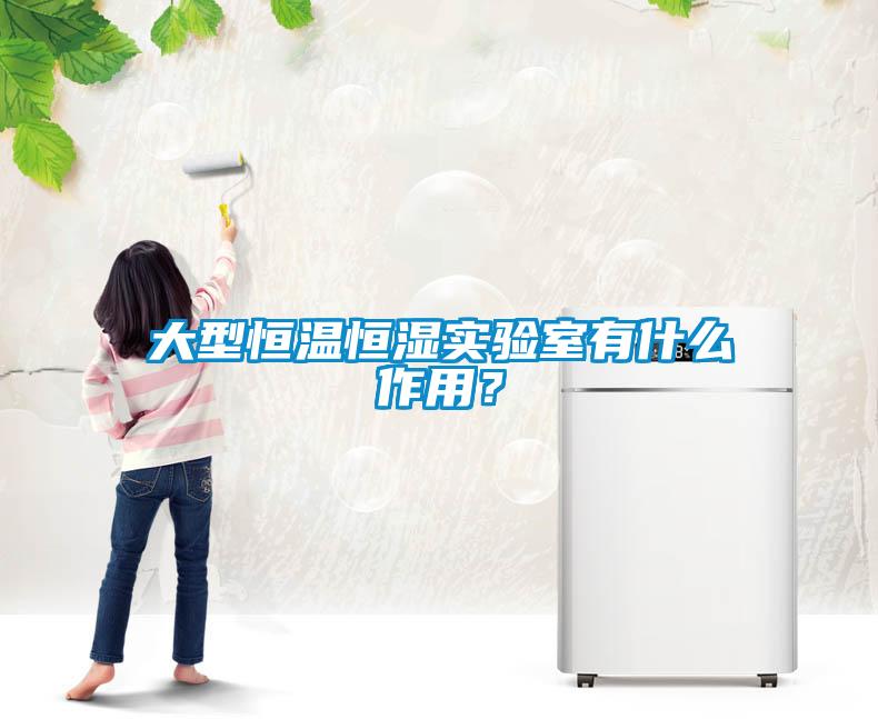 大型恒溫恒濕實驗室有什么作用？