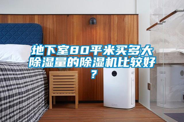 地下室80平米買多大除濕量的除濕機比較好？