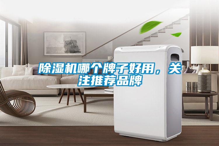 除濕機哪個牌子好用，關注推薦品牌