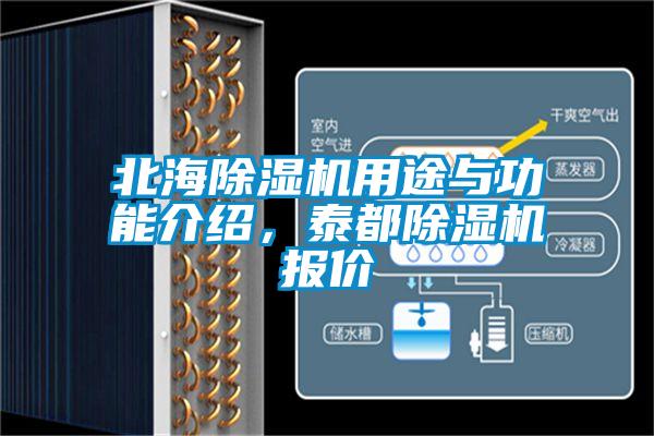 北海除濕機用途與功能介紹,泰都除濕機報價