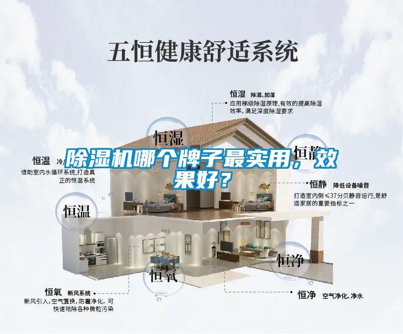 除濕機(jī)哪個(gè)牌子最實(shí)用，效果好？