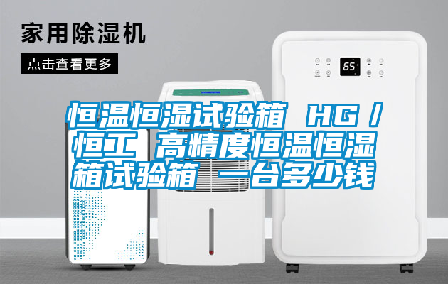 恒溫恒濕試驗(yàn)箱 HG／恒工 高精度恒溫恒濕箱試驗(yàn)箱 一臺多少錢