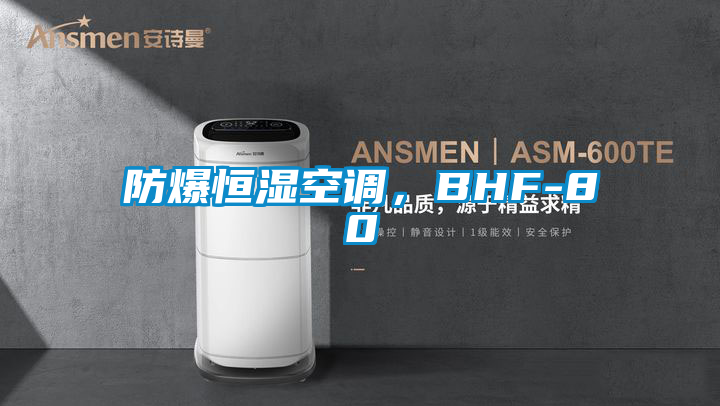 防爆恒濕空調,BHF-80