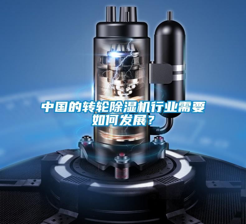 中國(guó)的轉(zhuǎn)輪除濕機(jī)行業(yè)需要如何發(fā)展？