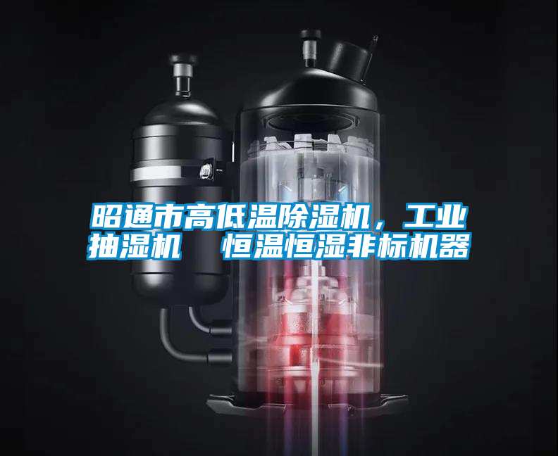 昭通市高低溫除濕機(jī)，工業(yè)抽濕機(jī)  恒溫恒濕非標(biāo)機(jī)器