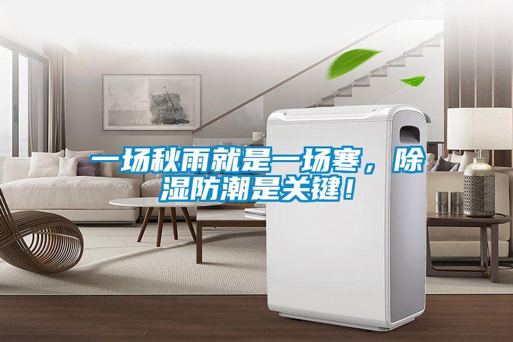 一場秋雨就是一場寒，除濕防潮是關鍵！