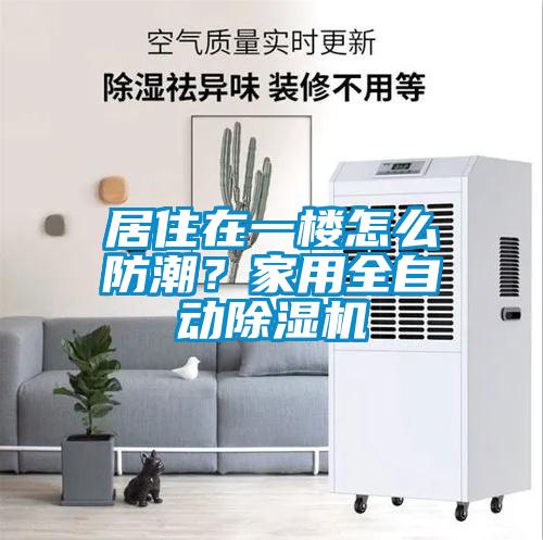 居住在一樓怎么防潮？家用全自動除濕機