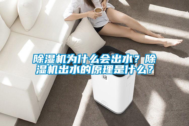 除濕機為什么會出水？除濕機出水的原理是什么？