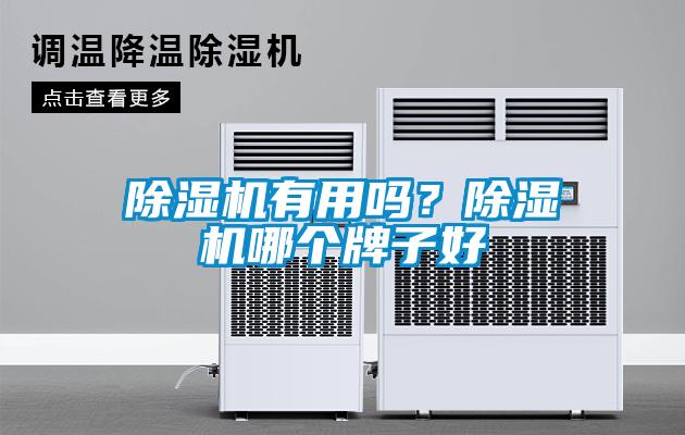 除濕機有用嗎？除濕機哪個牌子好