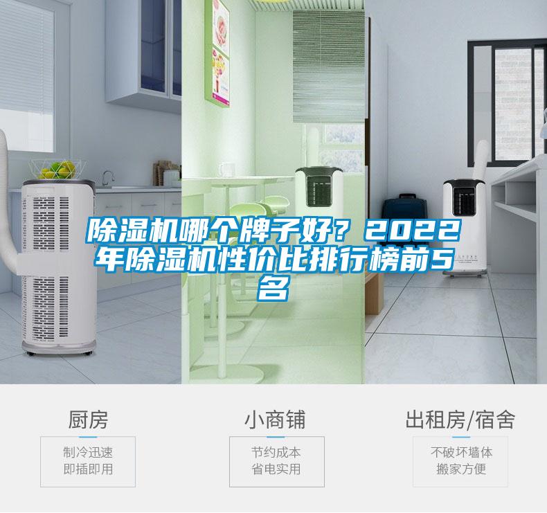 除濕機(jī)哪個牌子好？2022年除濕機(jī)性價比排行榜前5名
