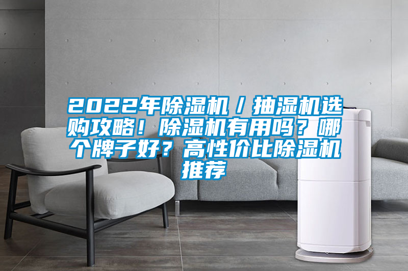 2022年除濕機(jī)／抽濕機(jī)選購攻略！除濕機(jī)有用嗎？哪個(gè)牌子好？高性價(jià)比除濕機(jī)推薦