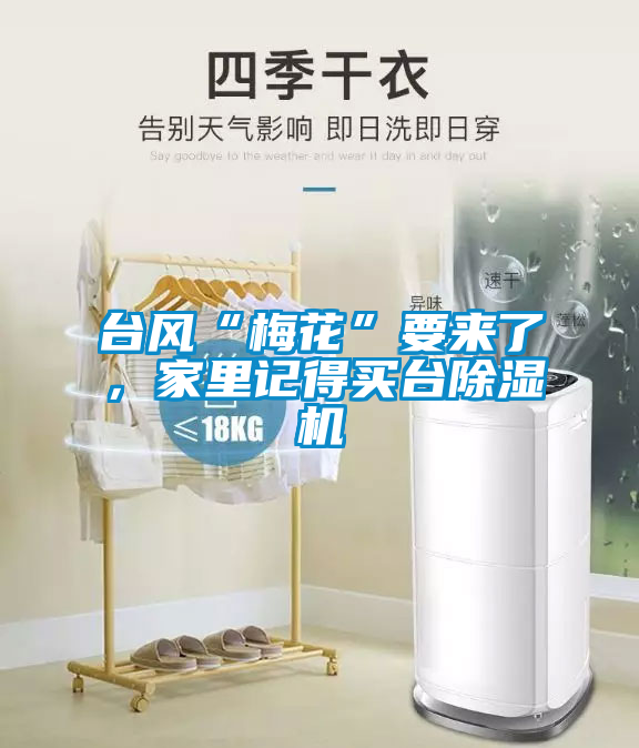 臺風“梅花”要來了，家里記得買臺除濕機