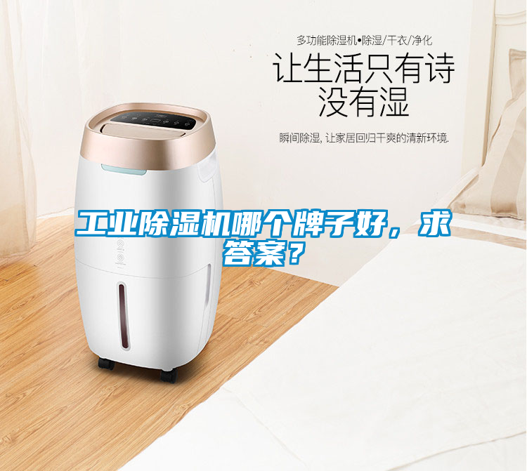 工業除濕機哪個牌子好，求答案？