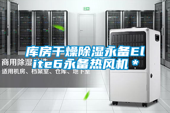 庫房干燥除濕永備Elite6永備熱風(fēng)機(jī)*