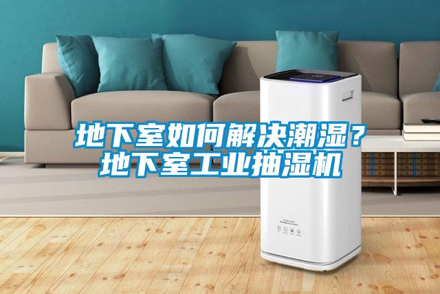 地下室如何解決潮濕？地下室工業抽濕機