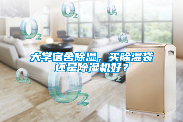 大學(xué)宿舍除濕，買(mǎi)除濕袋還是除濕機(jī)好？