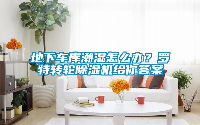地下車庫潮濕怎么辦？羅特轉(zhuǎn)輪除濕機給你答案