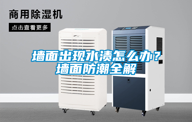 墻面出現(xiàn)水漬怎么辦？墻面防潮全解