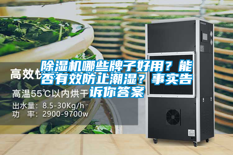 除濕機(jī)哪些牌子好用？能否有效防止潮濕？事實(shí)告訴你答案