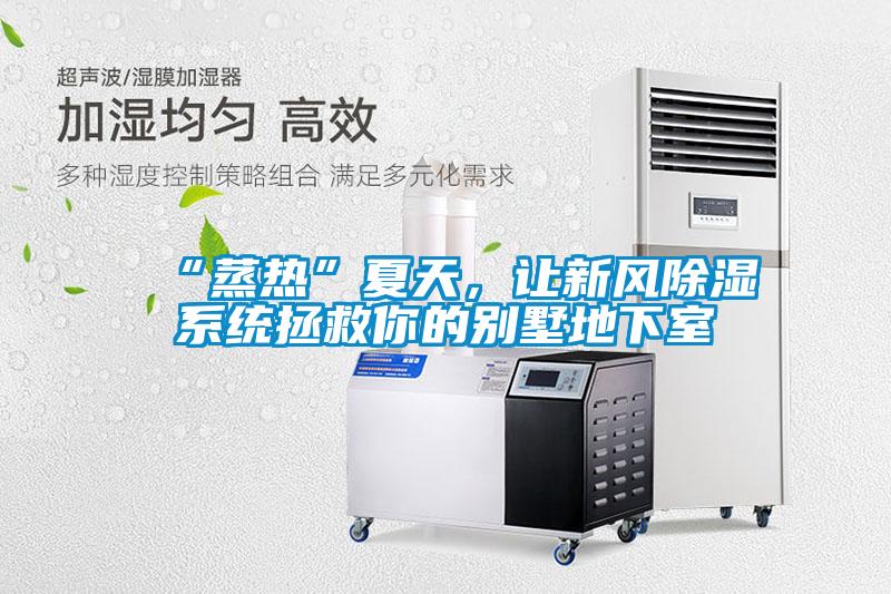 “蒸熱”夏天，讓新風除濕系統(tǒng)拯救你的別墅地下室