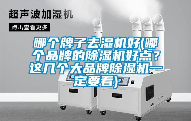 哪個牌子去濕機好(哪個品牌的除濕機好點？這幾個大品牌除濕機一定要看)