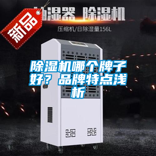 除濕機(jī)哪個(gè)牌子好？品牌特點(diǎn)淺析
