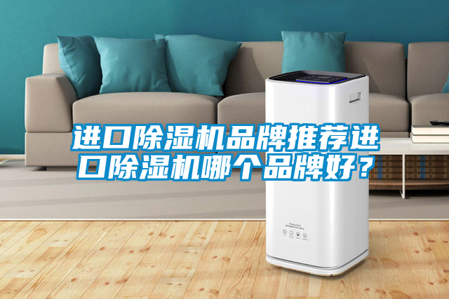 進(jìn)口除濕機(jī)品牌推薦進(jìn)口除濕機(jī)哪個(gè)品牌好？