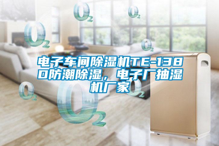 電子車間除濕機(jī)TE-138D防潮除濕，電子廠抽濕機(jī)廠家