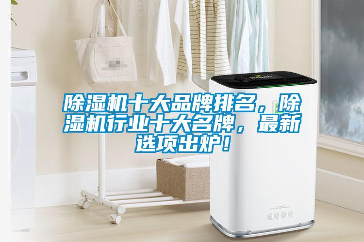 除濕機(jī)十大品牌排名，除濕機(jī)行業(yè)十大名牌，最新選項(xiàng)出爐！