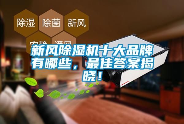 新風除濕機十大品牌有哪些，最佳答案揭曉！