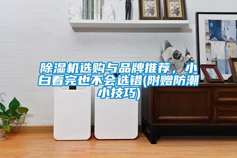 除濕機(jī)選購與品牌推薦，小白看完也不會(huì)選錯(cuò)(附贈(zèng)防潮小技巧)
