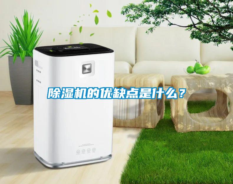 除濕機的優(yōu)缺點是什么？