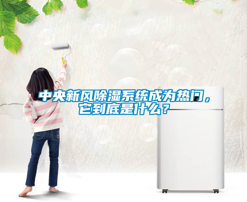 中央新風(fēng)除濕系統(tǒng)成為熱門(mén)，它到底是什么？