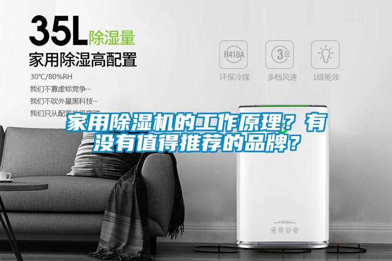 家用除濕機的工作原理？有沒有值得推薦的品牌？