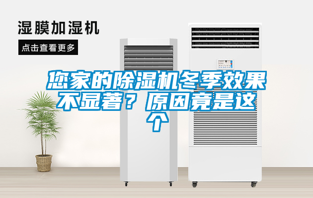 您家的除濕機冬季效果不顯著？原因竟是這個
