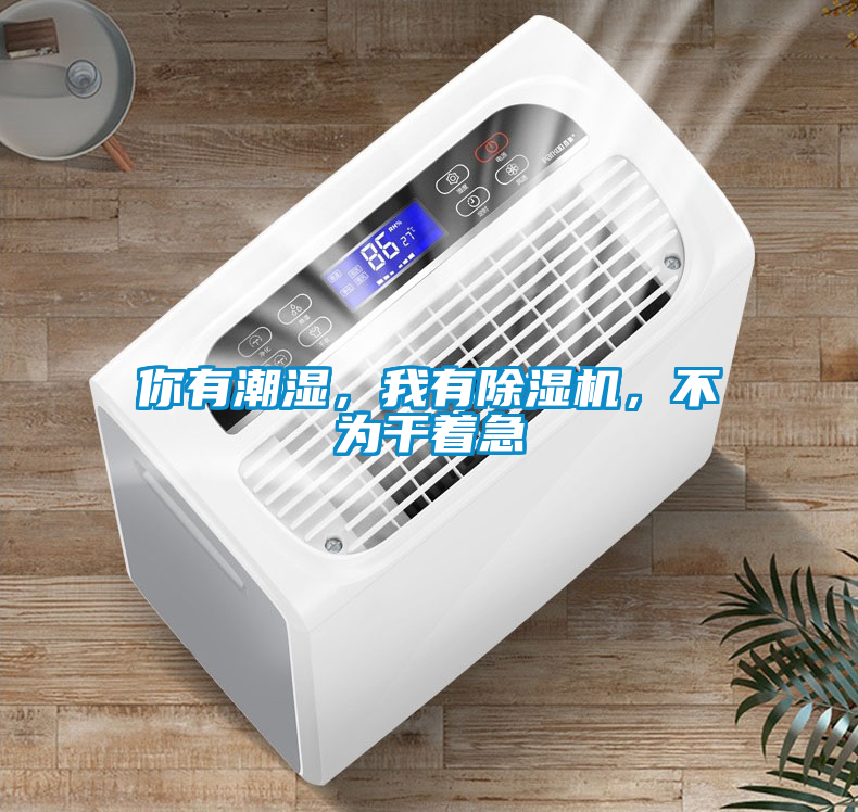 你有潮濕，我有除濕機，不為干著急