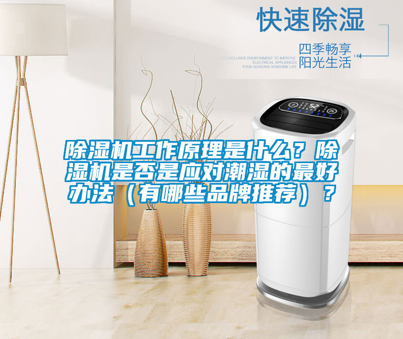 除濕機工作原理是什么？除濕機是否是應對潮濕的最好辦法（有哪些品牌推薦）？